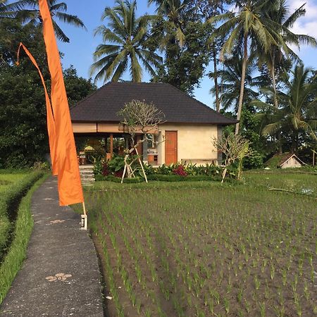 Puri Raya Villa Ubud  Exterior photo