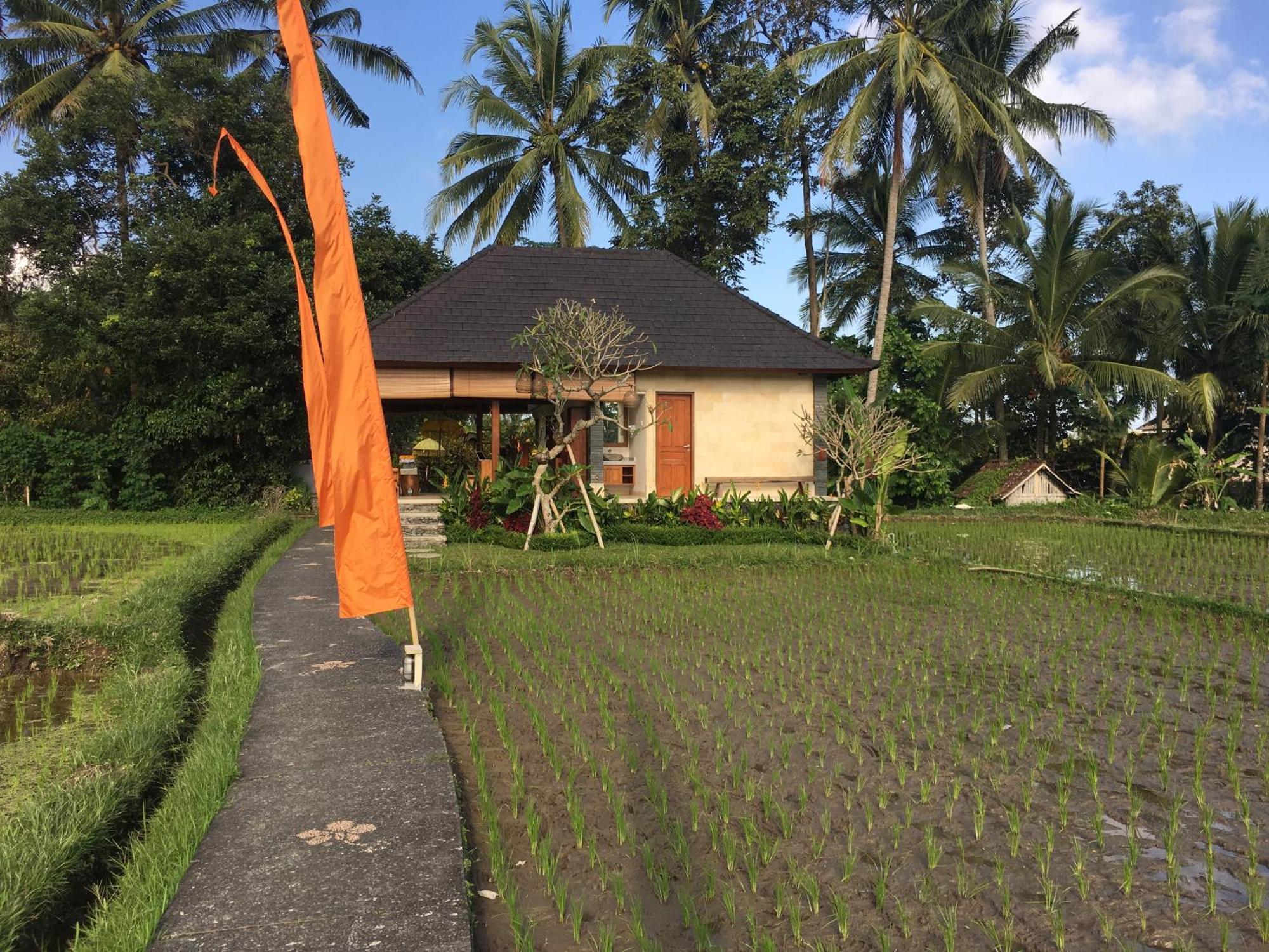 Puri Raya Villa Ubud  Exterior photo