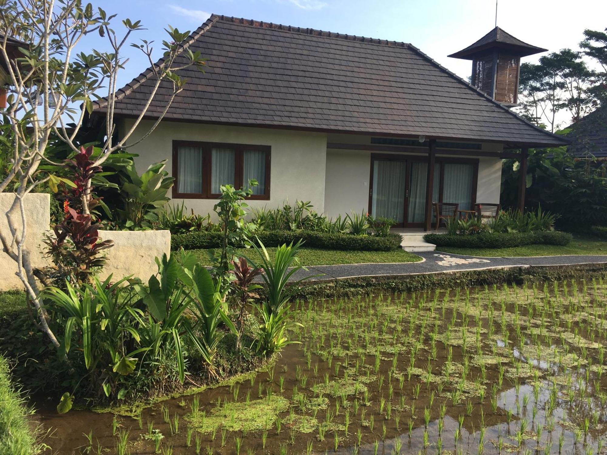 Puri Raya Villa Ubud  Exterior photo