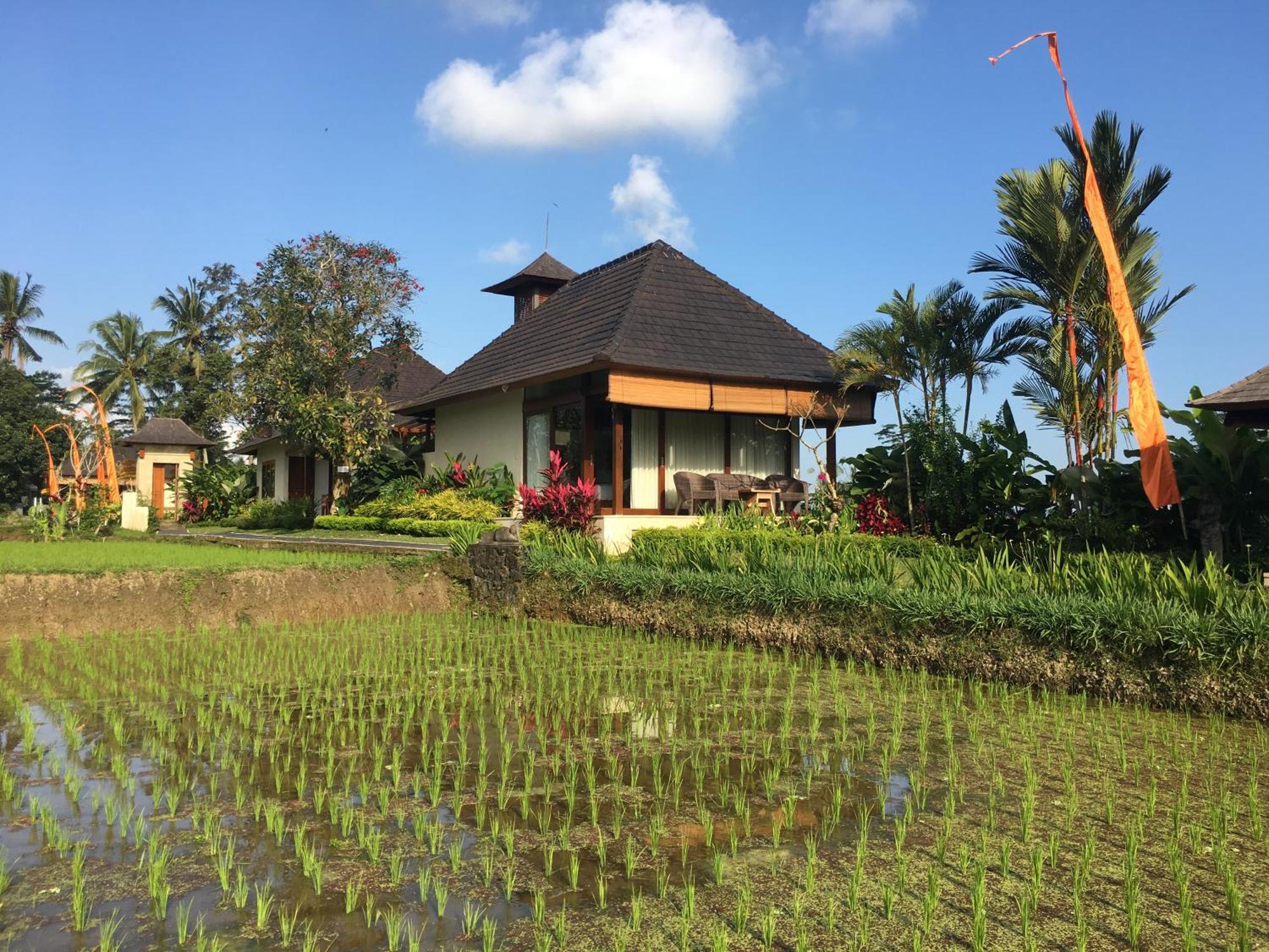 Puri Raya Villa Ubud  Exterior photo