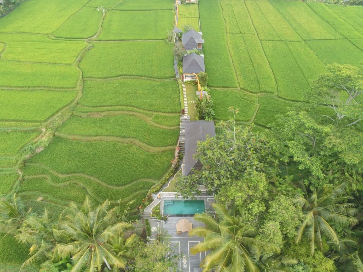 Puri Raya Villa Ubud  Exterior photo