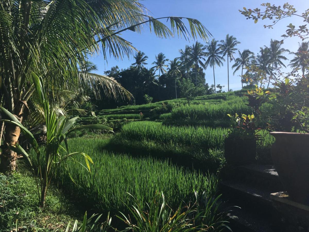 Puri Raya Villa Ubud  Exterior photo