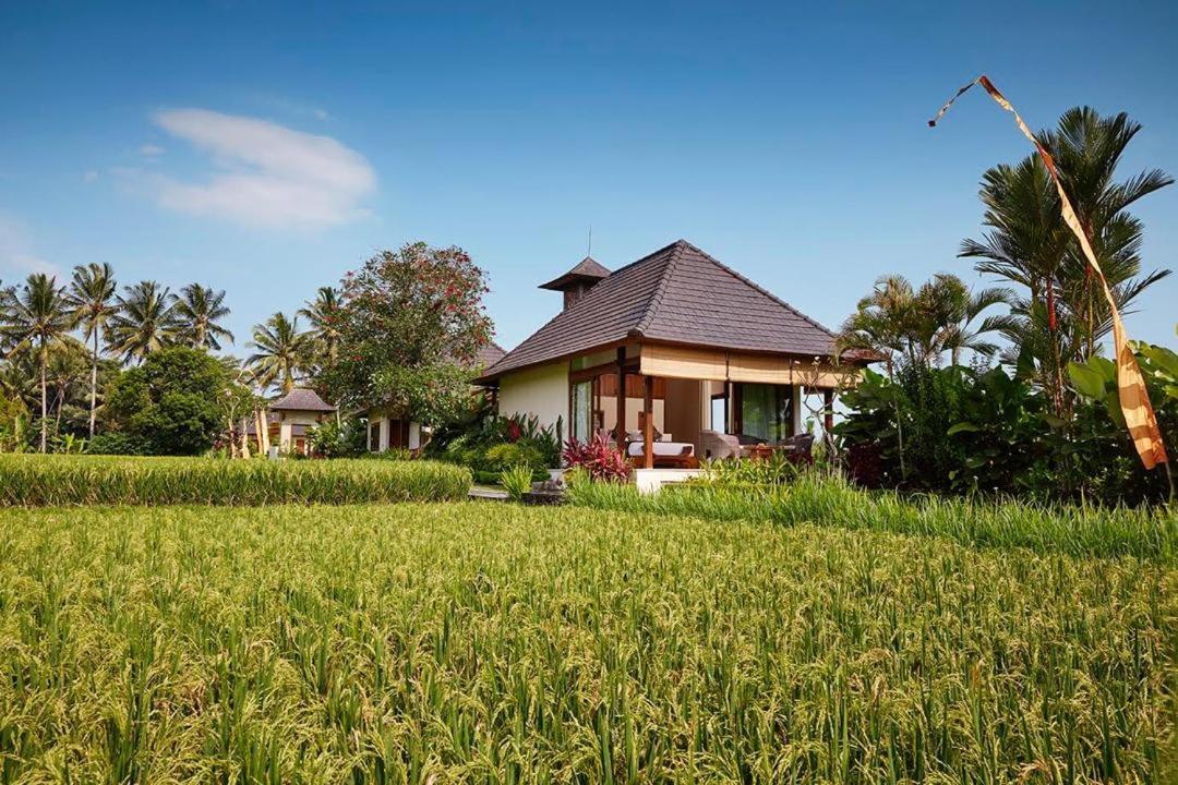 Puri Raya Villa Ubud  Exterior photo