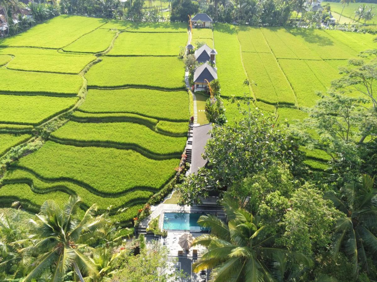 Puri Raya Villa Ubud  Exterior photo